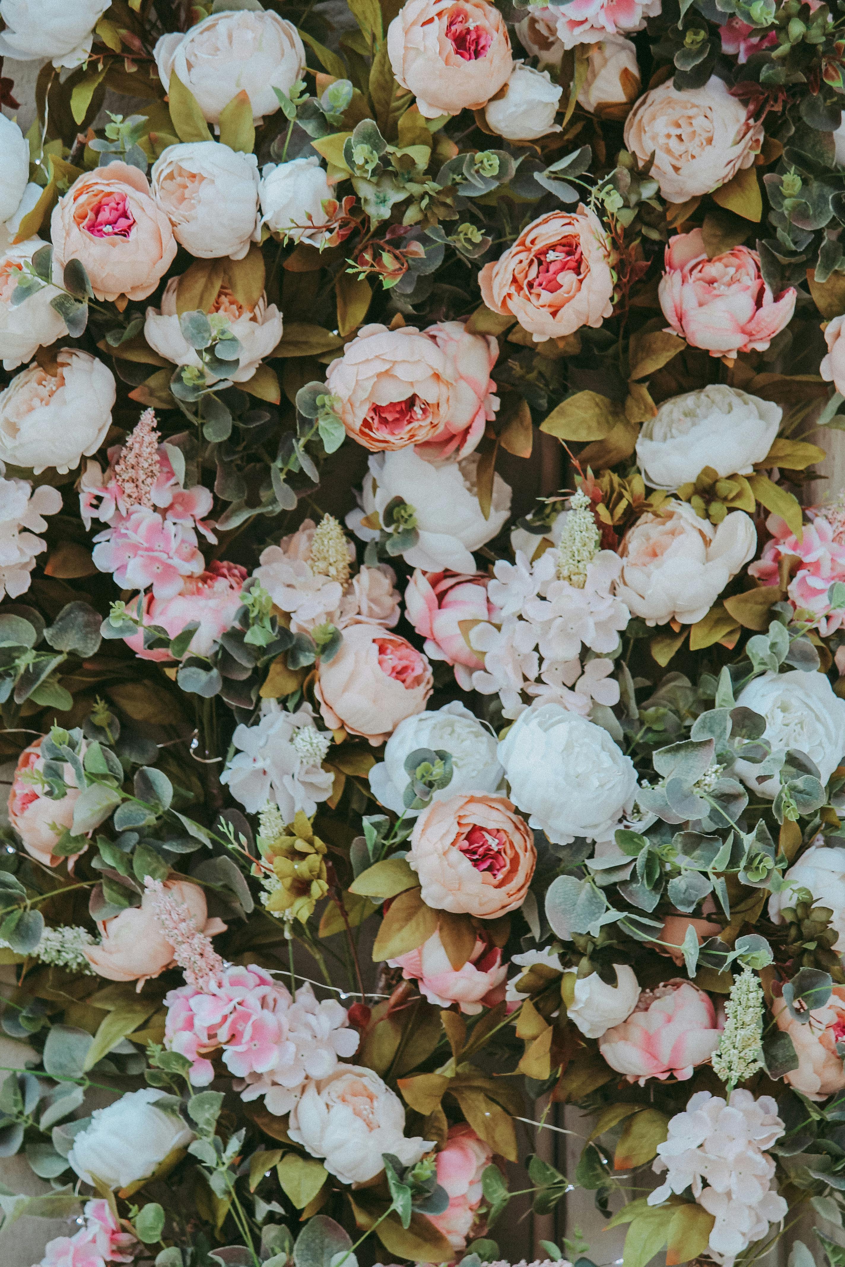 Flowers for all needs